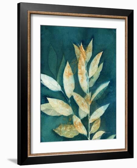 Shower of Gold III-Kathy Ferguson-Framed Art Print