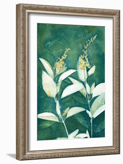 Shower of Gold IV Light-Kathy Ferguson-Framed Premium Giclee Print