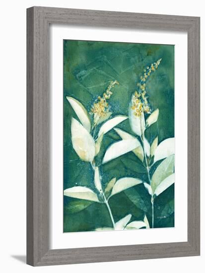 Shower of Gold IV Light-Kathy Ferguson-Framed Art Print