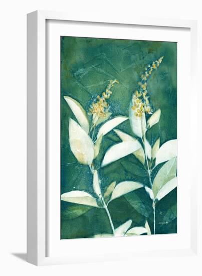 Shower of Gold IV Light-Kathy Ferguson-Framed Art Print