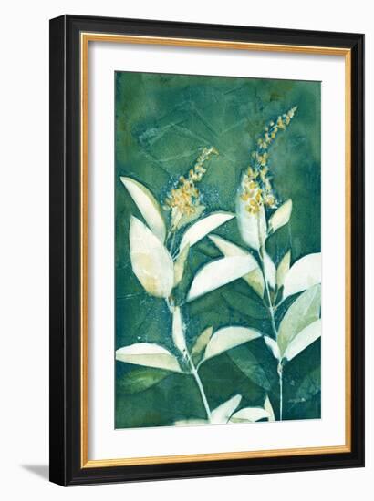 Shower of Gold IV Light-Kathy Ferguson-Framed Art Print