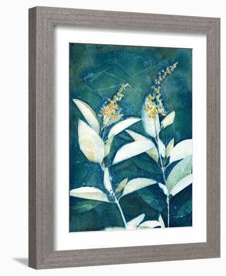 Shower of Gold IV-Kathy Ferguson-Framed Art Print