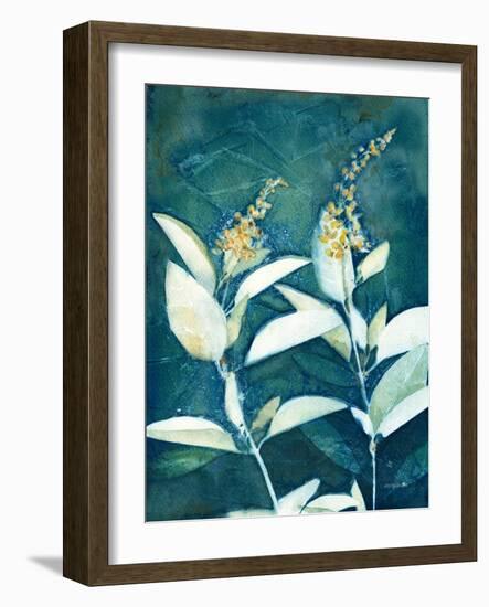 Shower of Gold IV-Kathy Ferguson-Framed Art Print