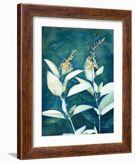 Shower of Gold IV-Kathy Ferguson-Framed Art Print