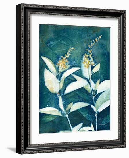 Shower of Gold IV-Kathy Ferguson-Framed Art Print