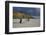 Shower of Rain over the 'Rotes Kliff' (Red Cliff) Close Kampen (Municipality) on the Island of Sylt-Uwe Steffens-Framed Photographic Print