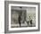 Shower Peepers-Banksy-Framed Premium Giclee Print