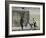 Shower Peepers-Banksy-Framed Premium Giclee Print