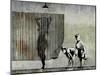 Shower Peepers-Banksy-Mounted Giclee Print
