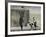 Shower Peepers-Banksy-Framed Giclee Print