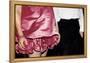 Showing Pink (Watermill Center Benefit, 2006)-Jessica Craig-Martin-Framed Stretched Canvas