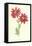 Showy Feverfew-Frederick Edward Hulme-Framed Premier Image Canvas