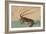 Shrimp and Lobster (Ise Ebi to Shiba Ebi)-Ando Hiroshige-Framed Art Print