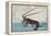 Shrimp and Lobster-Ando Hiroshige-Framed Premier Image Canvas