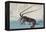 Shrimp and Lobster-Ando Hiroshige-Framed Premier Image Canvas