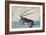 Shrimp and Lobster-Ando Hiroshige-Framed Giclee Print