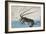 Shrimp and Lobster-Ando Hiroshige-Framed Giclee Print