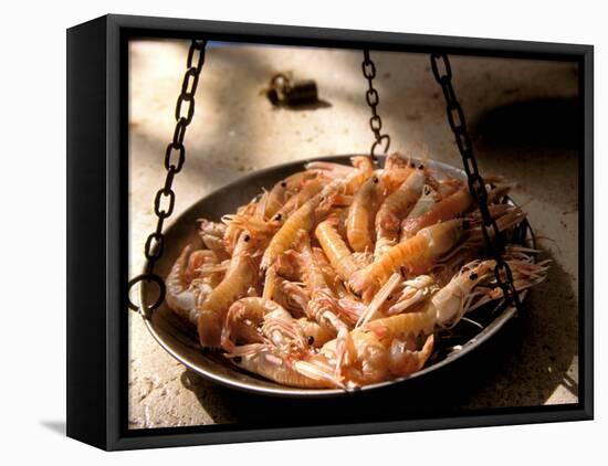 Shrimp at Open Fish Market, Sibenik, Croatia-Connie Bransilver-Framed Premier Image Canvas