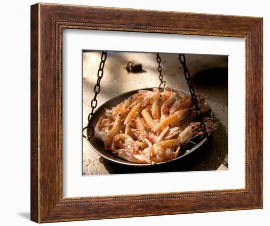 Shrimp at Open Fish Market, Sibenik, Croatia-Connie Bransilver-Framed Photographic Print