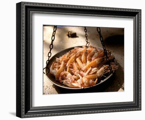 Shrimp at Open Fish Market, Sibenik, Croatia-Connie Bransilver-Framed Photographic Print