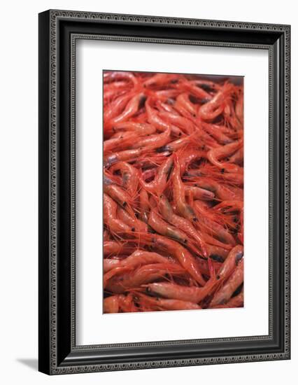 Shrimp at Tsukiji Fish Market, Tokyo, Honshu Island, Japan, Asia-Christian Kober-Framed Photographic Print