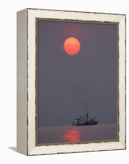 Shrimp Boat at Sunrise, Tybee Island, Georgia, USA-Joanne Wells-Framed Premier Image Canvas