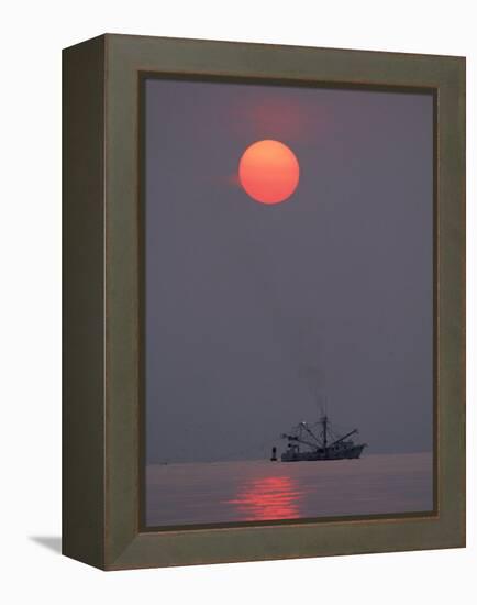 Shrimp Boat at Sunrise, Tybee Island, Georgia, USA-Joanne Wells-Framed Premier Image Canvas
