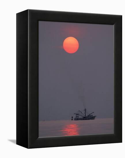 Shrimp Boat at Sunrise, Tybee Island, Georgia, USA-Joanne Wells-Framed Premier Image Canvas