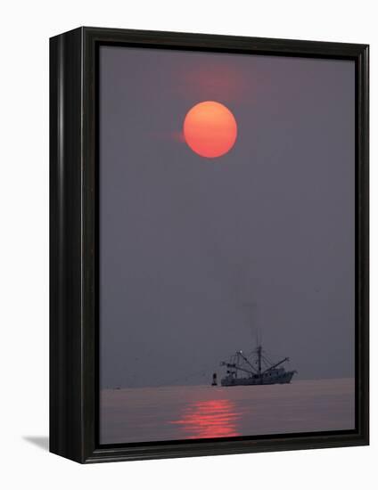 Shrimp Boat at Sunrise, Tybee Island, Georgia, USA-Joanne Wells-Framed Premier Image Canvas