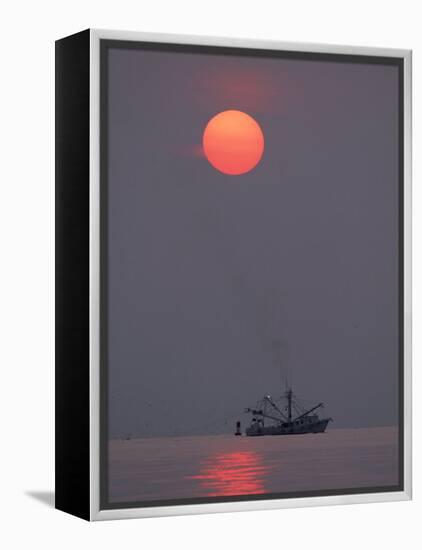 Shrimp Boat at Sunrise, Tybee Island, Georgia, USA-Joanne Wells-Framed Premier Image Canvas