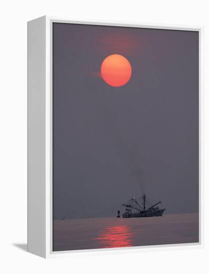 Shrimp Boat at Sunrise, Tybee Island, Georgia, USA-Joanne Wells-Framed Premier Image Canvas