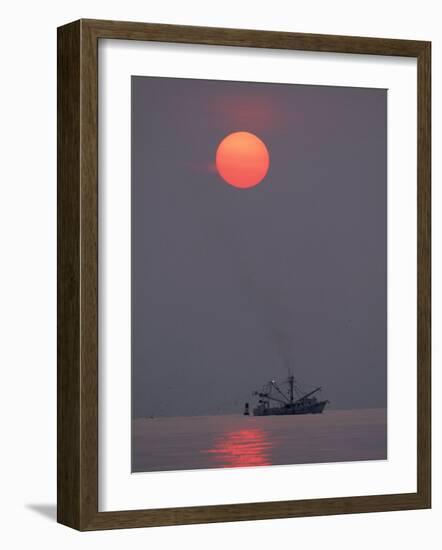 Shrimp Boat at Sunrise, Tybee Island, Georgia, USA-Joanne Wells-Framed Photographic Print
