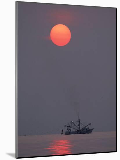 Shrimp Boat at Sunrise, Tybee Island, Georgia, USA-Joanne Wells-Mounted Photographic Print