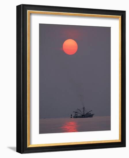 Shrimp Boat at Sunrise, Tybee Island, Georgia, USA-Joanne Wells-Framed Photographic Print