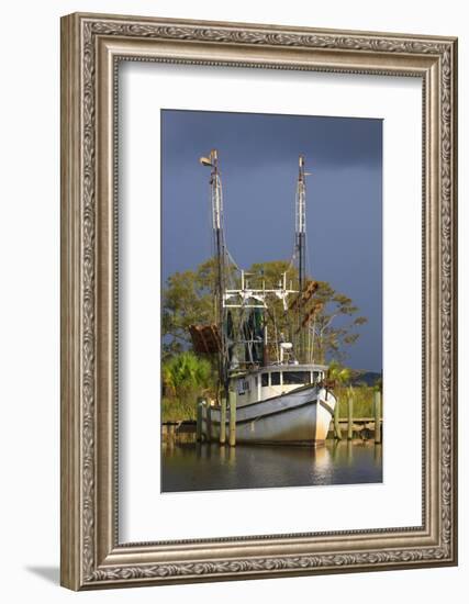 Shrimp Boat Docked at Harbor, Apalachicola, Florida, USA-Joanne Wells-Framed Photographic Print