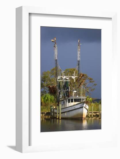 Shrimp Boat Docked at Harbor, Apalachicola, Florida, USA-Joanne Wells-Framed Photographic Print