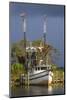 Shrimp Boat Docked at Harbor, Apalachicola, Florida, USA-Joanne Wells-Mounted Photographic Print