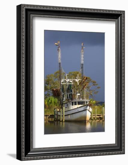 Shrimp Boat Docked at Harbor, Apalachicola, Florida, USA-Joanne Wells-Framed Photographic Print