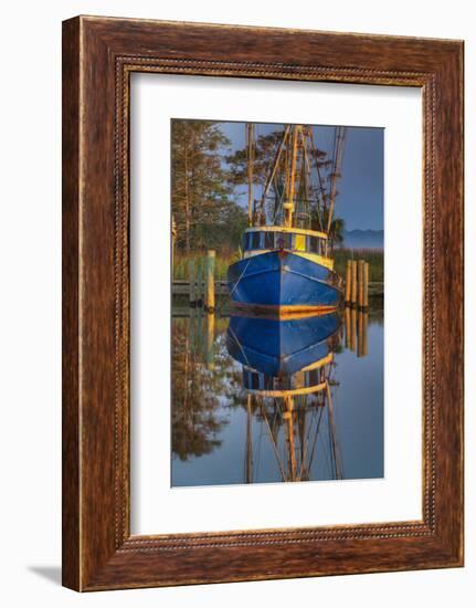 Shrimp Boat Docked at Harbor, Apalachicola, Florida, USA-Joanne Wells-Framed Photographic Print