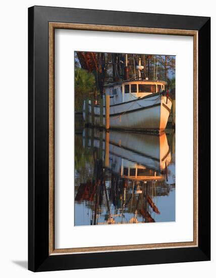 Shrimp Boat Docked at Harbor, Apalachicola, Florida, USA-Joanne Wells-Framed Photographic Print