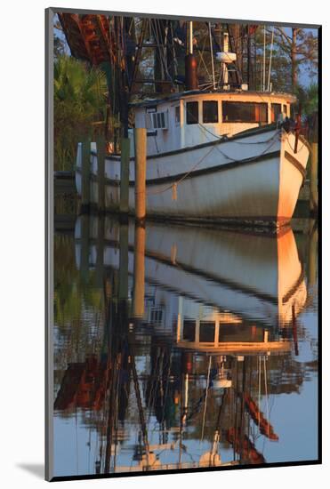 Shrimp Boat Docked at Harbor, Apalachicola, Florida, USA-Joanne Wells-Mounted Photographic Print