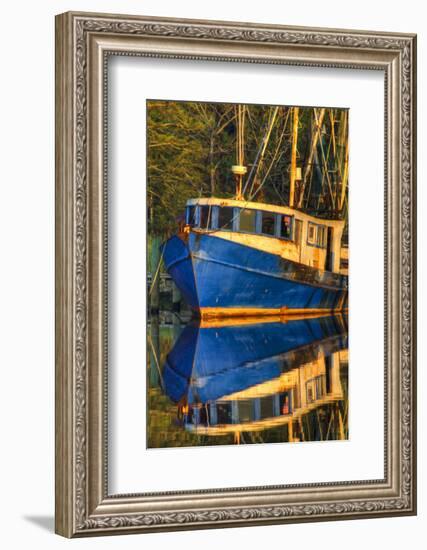 Shrimp Boat Docked at Harbor, Fishing, Apalachicola, Florida, USA-Joanne Wells-Framed Photographic Print