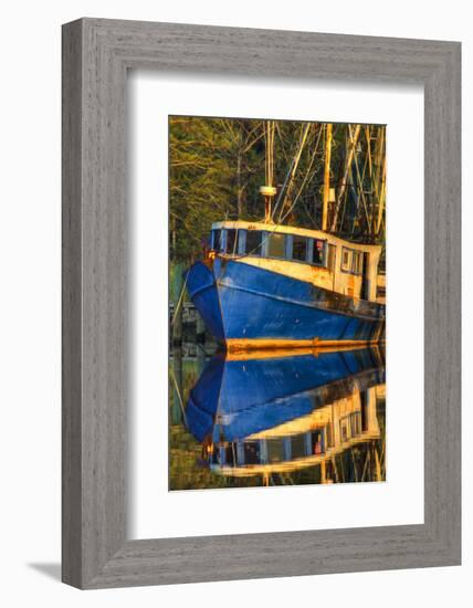 Shrimp Boat Docked at Harbor, Fishing, Apalachicola, Florida, USA-Joanne Wells-Framed Photographic Print