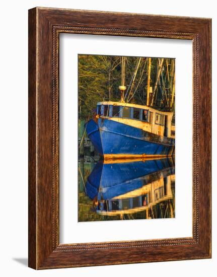 Shrimp Boat Docked at Harbor, Fishing, Apalachicola, Florida, USA-Joanne Wells-Framed Photographic Print