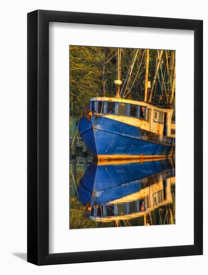 Shrimp Boat Docked at Harbor, Fishing, Apalachicola, Florida, USA-Joanne Wells-Framed Photographic Print