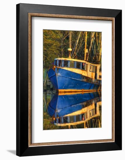 Shrimp Boat Docked at Harbor, Fishing, Apalachicola, Florida, USA-Joanne Wells-Framed Photographic Print