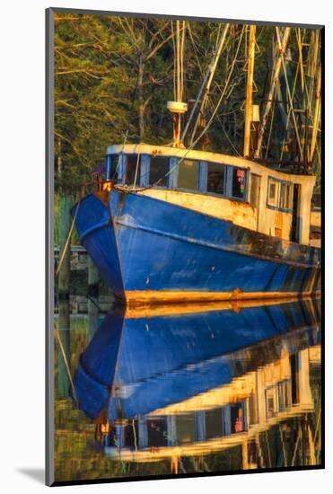 Shrimp Boat Docked at Harbor, Fishing, Apalachicola, Florida, USA-Joanne Wells-Mounted Photographic Print