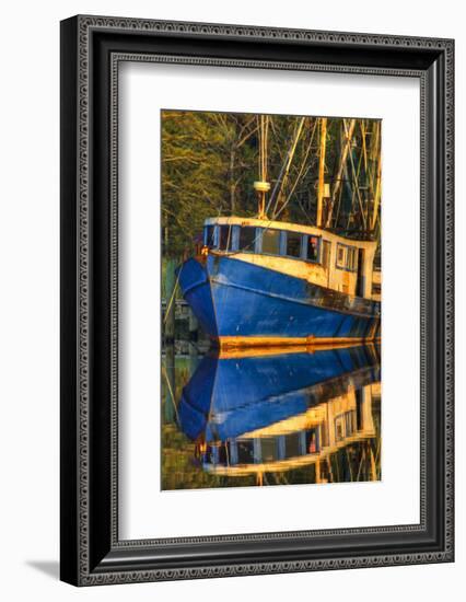 Shrimp Boat Docked at Harbor, Fishing, Apalachicola, Florida, USA-Joanne Wells-Framed Photographic Print