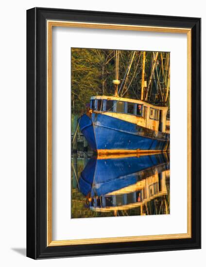 Shrimp Boat Docked at Harbor, Fishing, Apalachicola, Florida, USA-Joanne Wells-Framed Photographic Print