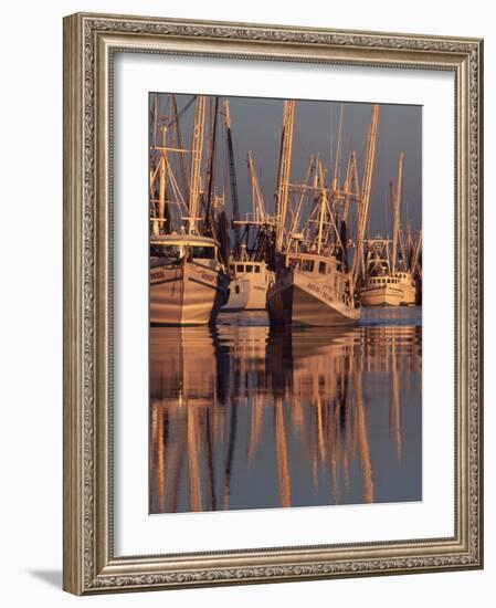 Shrimp Boats Tied to Dock, Darien, Georgia, USA-Joanne Wells-Framed Photographic Print